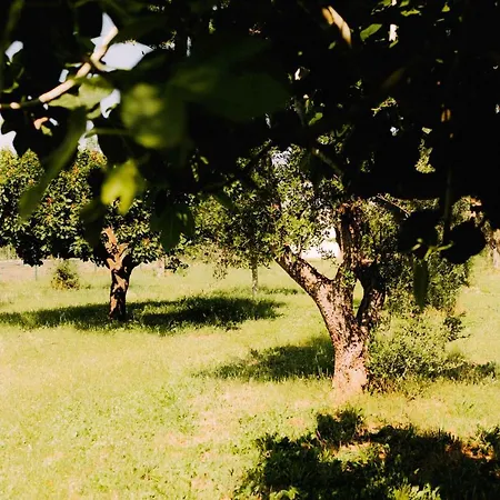 Sweet In Nature Reserve Holiday home Nardo
